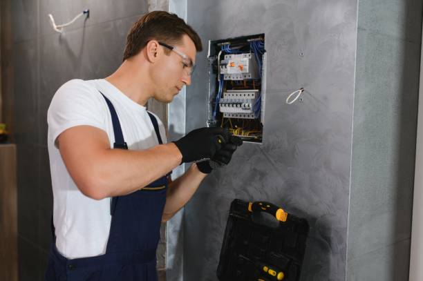 Best Electric Panel Repair  in Pilot Mountain, NC